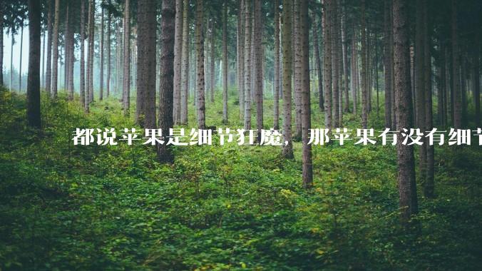 都说苹果是细节狂魔，那苹果有没有细节其实做的很差的点？