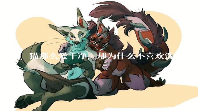 猫那么爱干净，却为什么不喜欢洗澡？