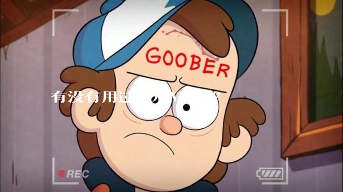 有没有用过GOOVIS的？