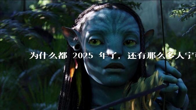 为什么都 2025 年了，还有那么多人宁可双持，也不愿意放弃安卓或非安卓手机？