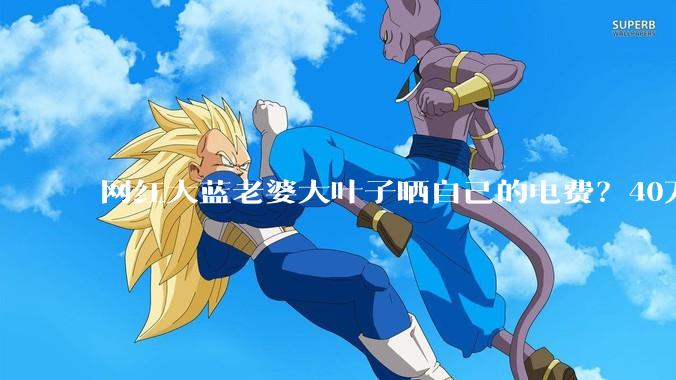 网红大蓝老婆大叶子晒自己的电费？40万每年，到底是什么概念？