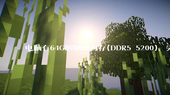 电脑有64G的物理内存(DDR5 5200)，完全够用了，可以关闭系统的虚拟内存吗？