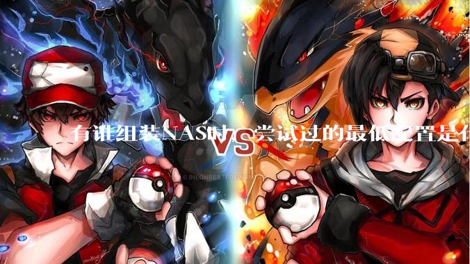 有谁组装NAS时，尝试过的最低配置是什么？