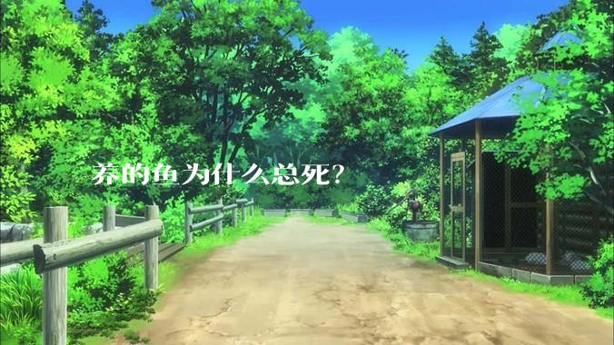 养的鱼为什么总死？