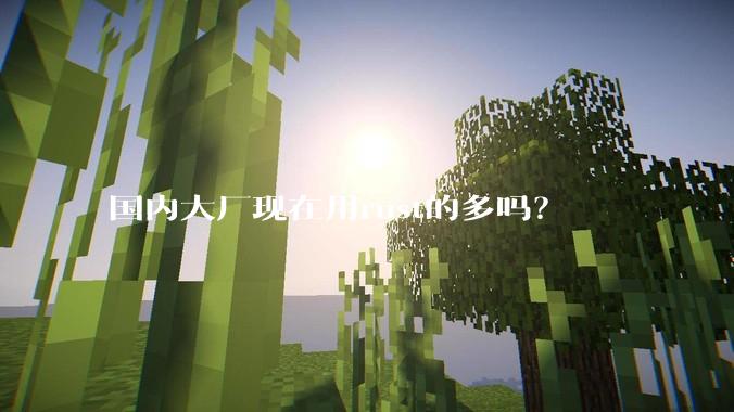 国内大厂现在用rust的多吗？