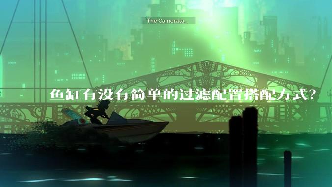 鱼缸有没有简单的过滤配置搭配方式？