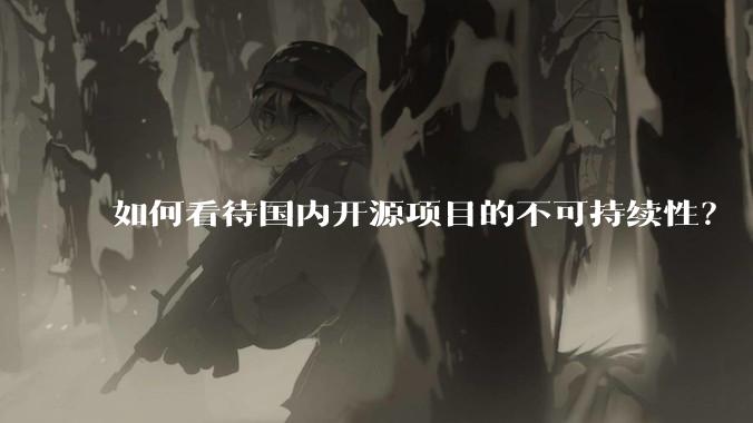 如何看待国内开源项目的不可持续性？