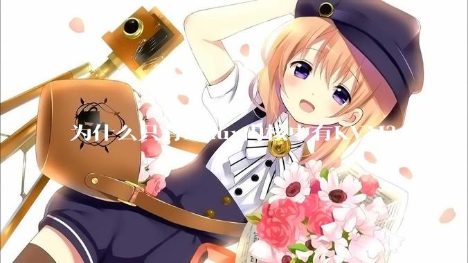 为什么只有Linux内核中有KVM？