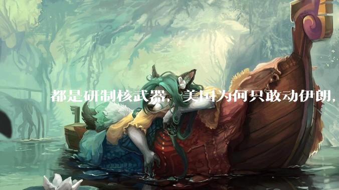 都是研制核武器，美国为何只敢动伊朗，对朝鲜却畏首畏尾？