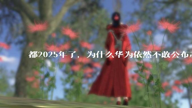 都2025年了，为什么华为依然不敢公布芯片的信息？