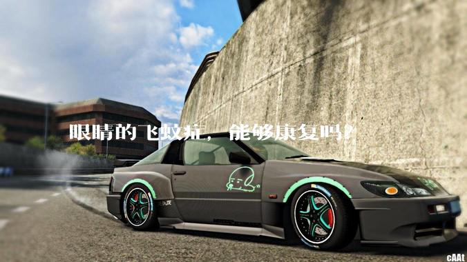 眼睛的飞蚊症，能够康复吗？