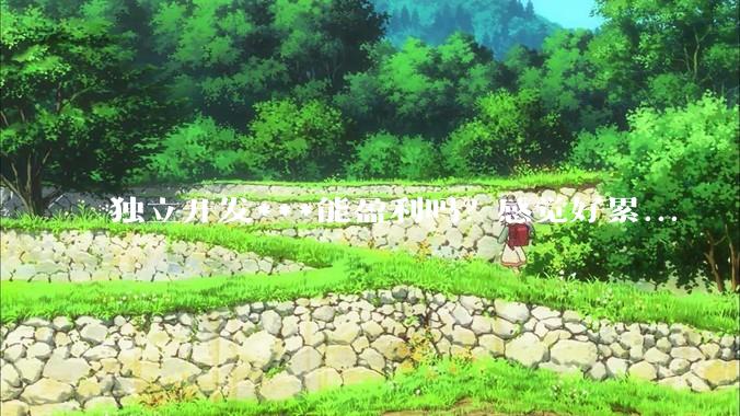 独立开发***能盈利吗？感觉好累...