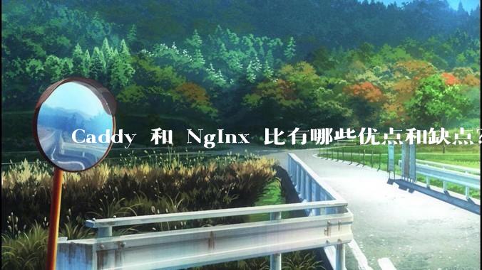 Caddy 和 Nginx 比有哪些优点和缺点？