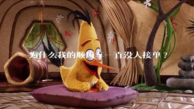 为什么我的顺风车一直没人接单?