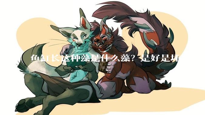 鱼缸长这种藻是什么藻？是好是坏？