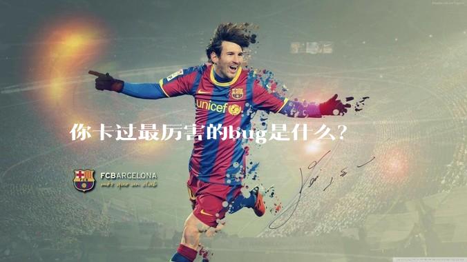 你卡过最厉害的bug是什么？