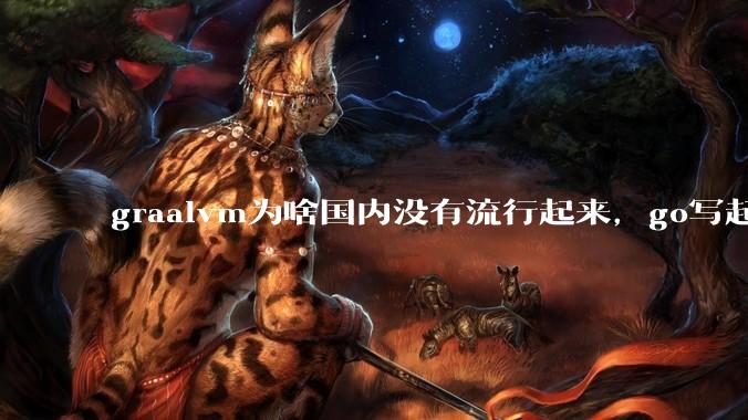 graalvm为啥国内没有流行起来，go写起来实在太恶心了，难道任凭go独霸云原生？