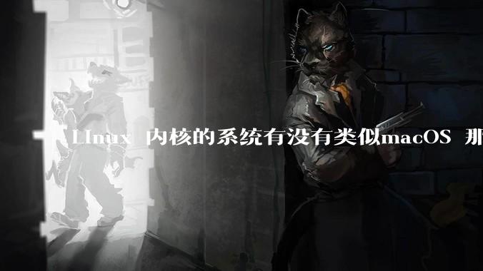 Linux 内核的系统有没有类似macOS 那样漂亮流畅的桌面环境的发行版本?