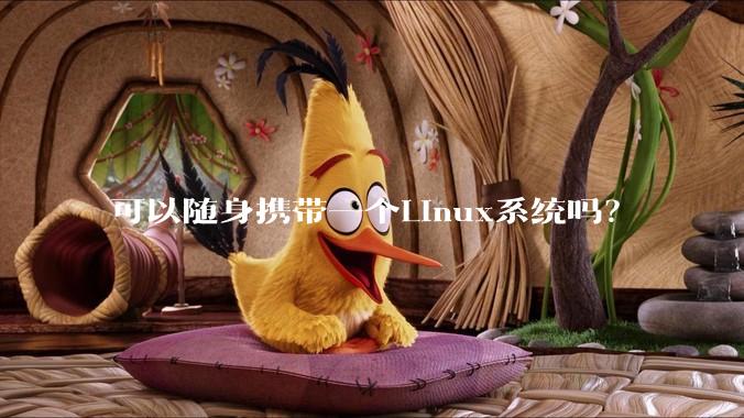 可以随身携带一个Linux系统吗？