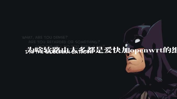 为啥软路由大多都是爱快加openwrt的组合，单openwrt有什么缺点嘛？