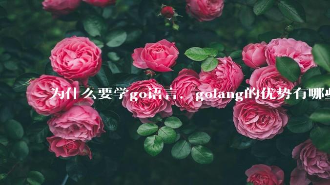 为什么要学go语言，golang的优势有哪些？
