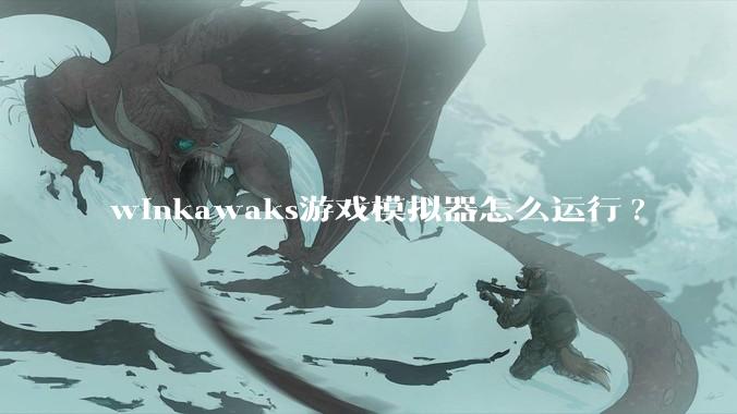 winkawaks游戏模拟器怎么运行?