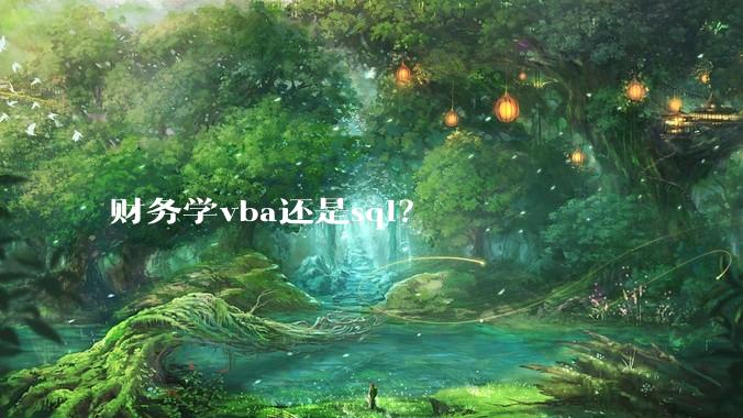 财务学vba还是sql？