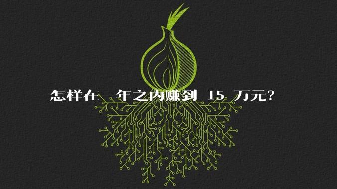 怎样在一年之内赚到 15 万元？